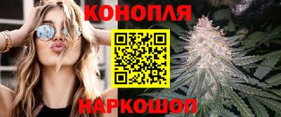 молекула духа Новозыбков
