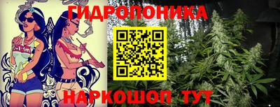 молекула духа Новозыбков