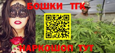 молекула духа Новозыбков