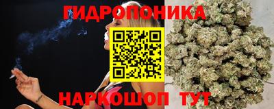 молекула духа Новозыбков