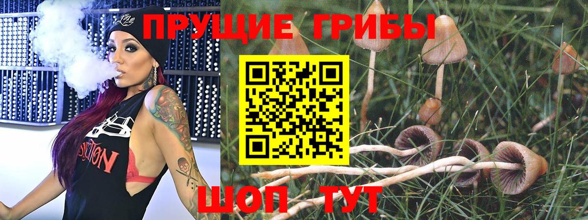 Псилоцибиновые грибы GOLDEN TEACHER  Вход с VPN  Севастополь 