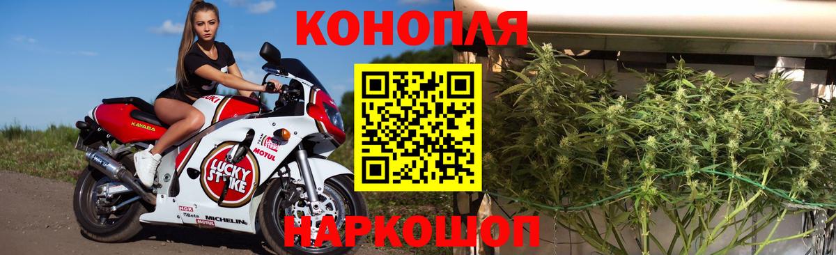 Марихуана семена  Бошки Шишки Amnesia  Севастополь  Вход с VPN 
